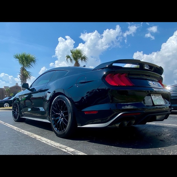 Meet your Posher, Steve - Picture 1 of 1